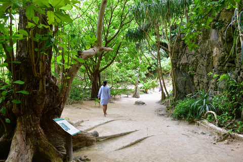 Phi Phi Don: Cove Collector's Private Half-Day Island Escape