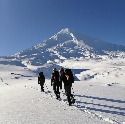 Visit Ascent to Llaima volcano, 3,125masl, from Pucón in Pucón