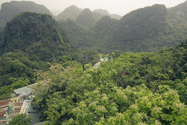 Hanoi: Parfümpagode mit Bootsfahrt oder Lotus-SeidendorfPrivate Tour: Parfümpagode, Lotus-Seidendorf und Weihrauch