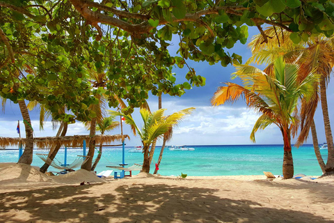 From miches: Isla Catalina Snorkeling Tour with Lunch