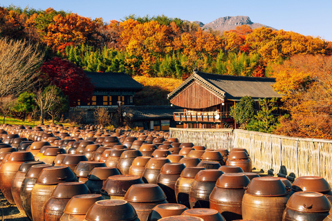 Busan: Discovery Tour With Snow &amp; UNESCO Spot