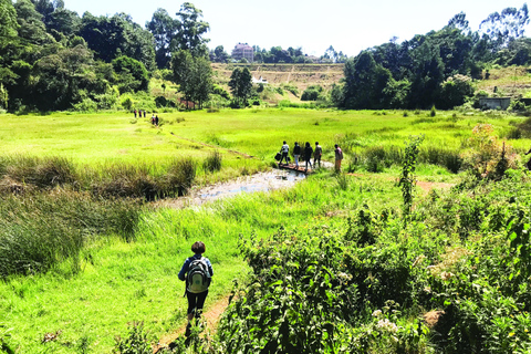 From Nairobi: Ondiri Wetland Guided Walking Tour
