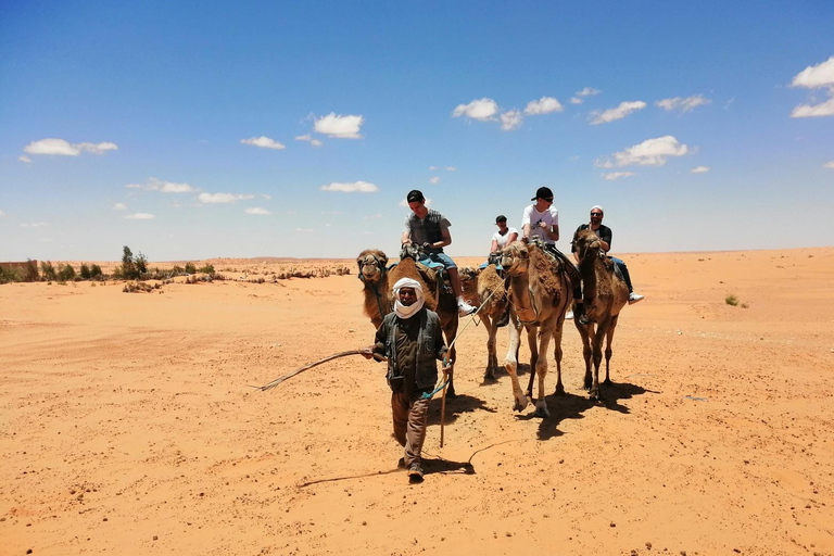 Hammamet: 3-Day Djerba, El Djem, and Sahara Desert Tour