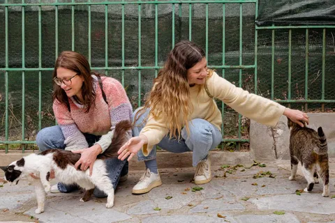 Cats of Athens - Visite à pied