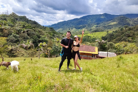 The Best Trek to Waterfalls, Natural Pools and Coffee Farm