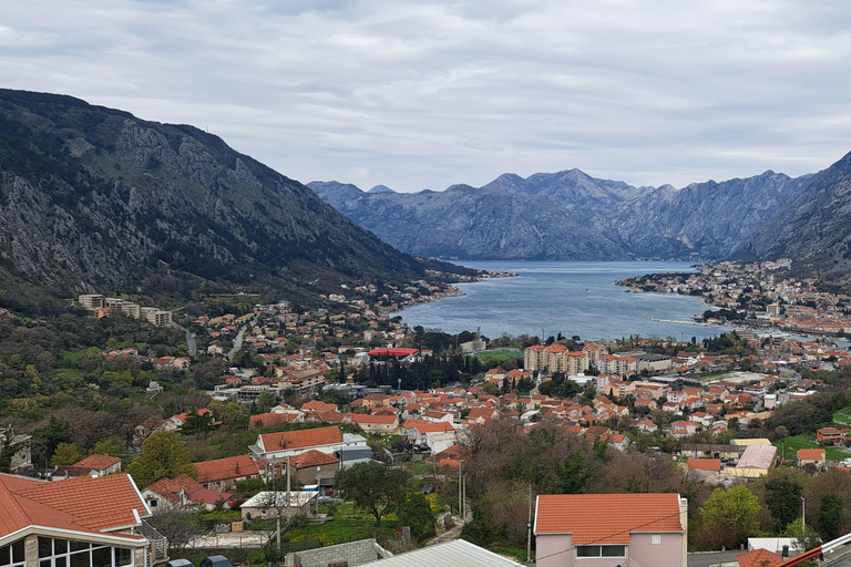 Au départ de Dubrovnik : Visite privée d'une journée au Monténégro