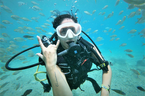 From Side and Alanya: Guided Beginner Level Scuba Diving