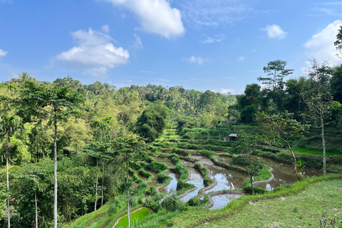 Lombok: Car Hire With Driver LUXURY CAR 10 HOURS