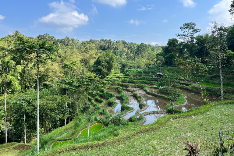 Lombok: Car Hire With Driver LUXURY CAR 10 HOURS