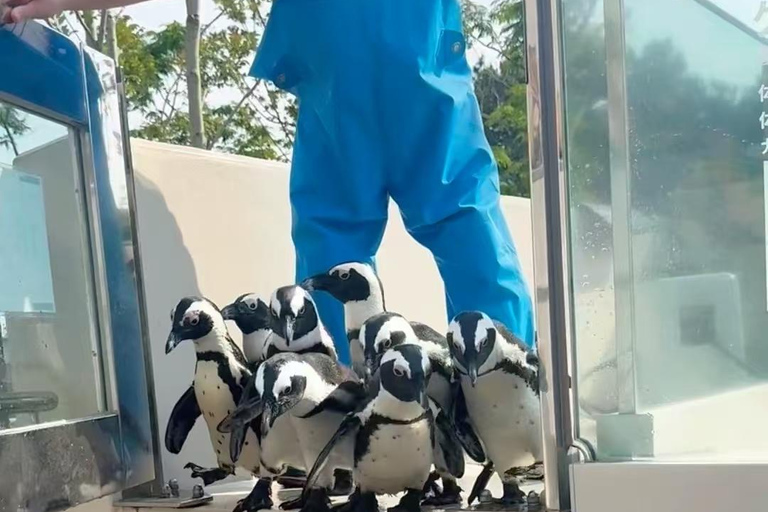 Fukuoka: Marine World Ticket & Digital Itinerary Plan