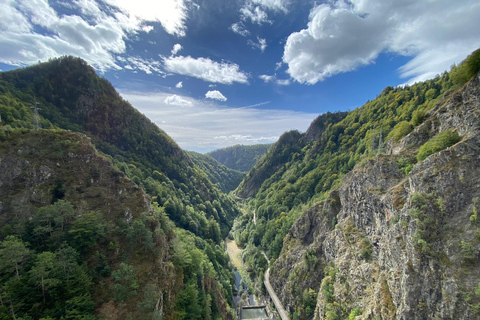 Bucharest: Top Gear Road & Wild Brown Bears, group max 8 pax Bucharest: Transfăgărășan Top Gear Road & Wild Brown Bears