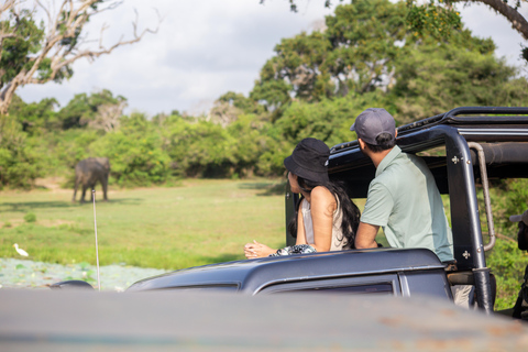 Sigiriya, Tea Plucking & Waterfalls visit 3Days Private tour Colombo : Sigiriya ,Kandy & Waterfall ,Tea factory Visit