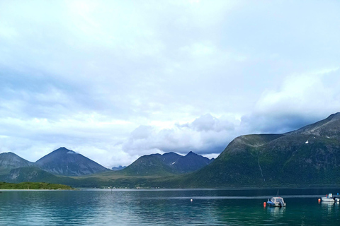 Tromsø: Excursión Kvaløya, and Sommarøy