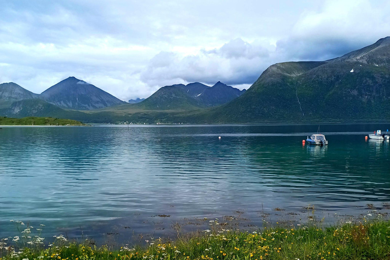 Tromsø: Excursión Kvaløya, and Sommarøy