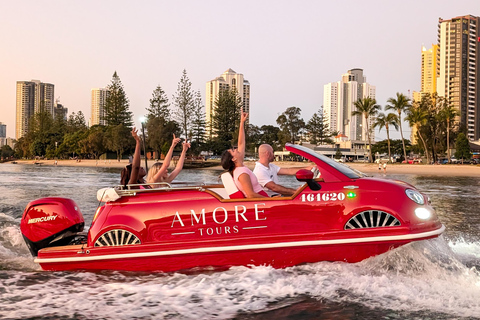 Gold Coast: Private City Lights Tour