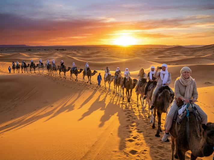 Depuis Marrakech : 3 jours dans le Sahara jusqu’à Agadir et camp de luxe - dromadaire