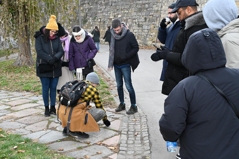 Walking Tour in BelgradeFree Walking Tour in Belgrade