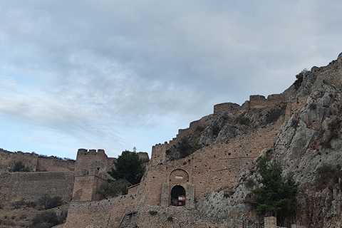 Private Tour zur Olivenöl- und Weinverkostung mit Abholung