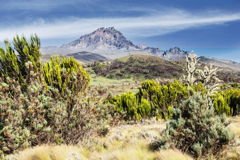 6 days Kilimanjaro Climbing Machame route