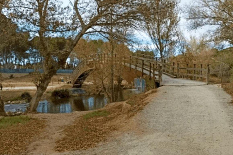 Active Bike Tour: River Turia Natural Park. Private Bike Tour 5 hours