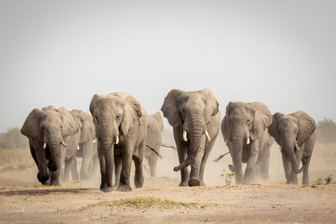 Botswana: Savuti, Khwai, & Moremi 7-Day Mobile Safari