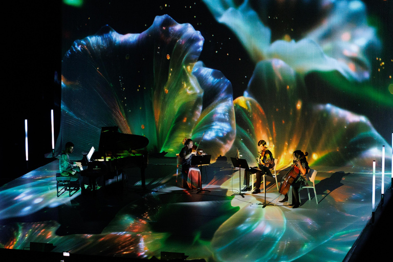 ✨Immersive Light and Music Show in Alicante I Under The Tree