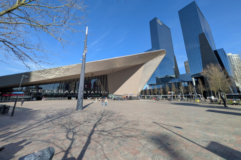 Rotterdam narrated by a French tour guide