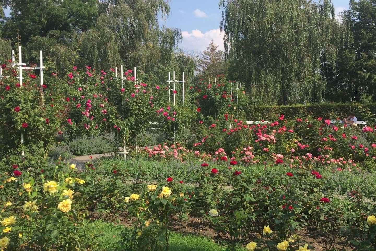 Prague’s secrets of famous lovers. Romantic walking tour