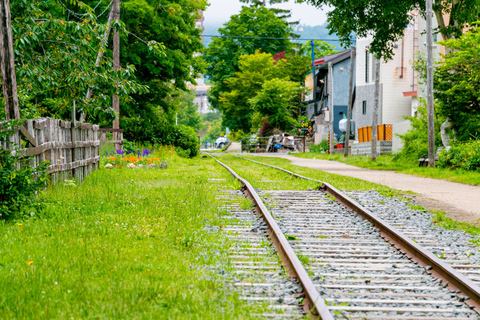 From Sapporo: Otaru and Hokkaido Shrine Day Trip Shared Tour, Meet at Sapporo Station