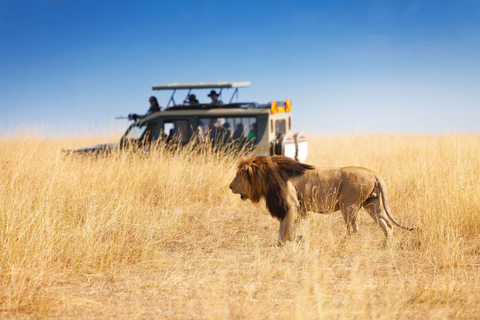 Desde Durban: Excursión de 5 días a Zululandia