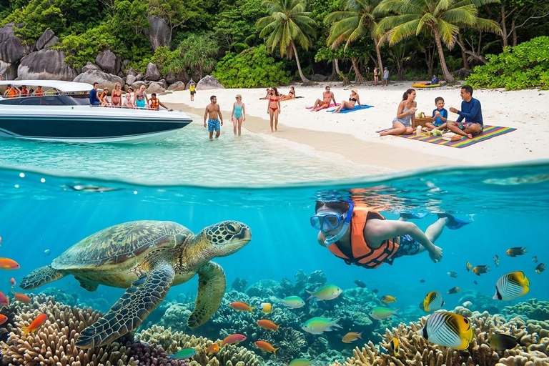 From Khao Lak: Similan Islands Snorkeling Trip with Lunch