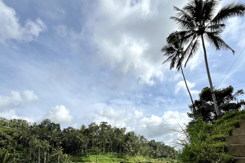 Ubud: tour privato delle gemme nascoste e delle cascateTour di un giorno intero con pranzo