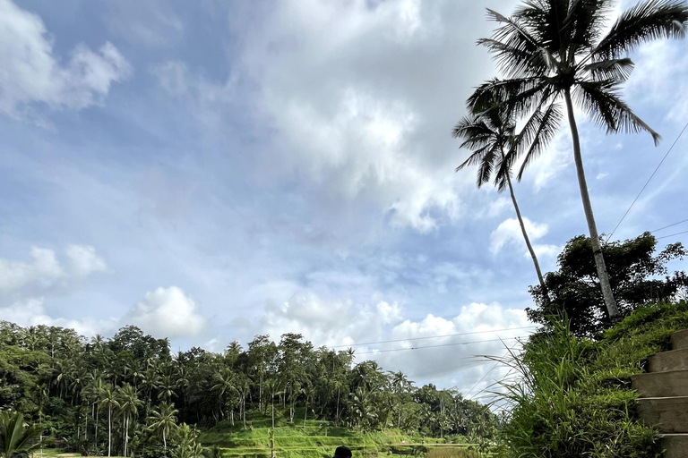 Ubud: Dolda pärlor och vattenfall Privat rundturHeldagsutflykt med lunch