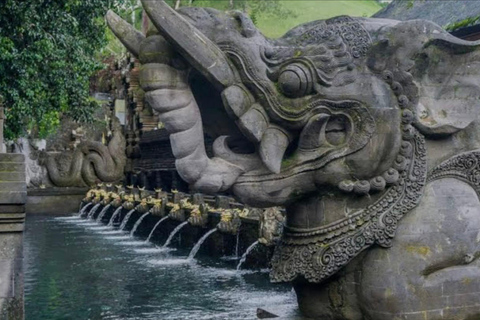 بالي: غابة القرود، شرفة الأرز، معبد الماء، الشلالجولة خاصة مع تذكرة الدخول والغداء