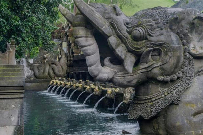 بالي: غابة القرود، شرفة الأرز، معبد الماء، الشلالجولة خاصة مع تذكرة الدخول والغداء