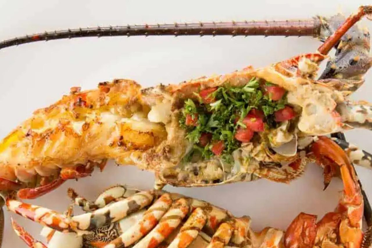 JASKINIA SALAAM: Pływanie z żółwiami i kolacja w restauracji The RockWycieczka obejmuje Odbiór z hotelu i transport powrotny