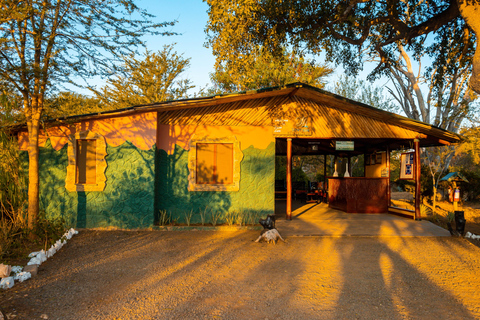 From Diani Beach or Mombasa: 2-Day Tsavo East Safari