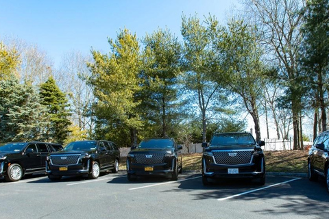 New York: City Highlights Guided Sightseeing Tour City Highlights Sightseeing Van Tour