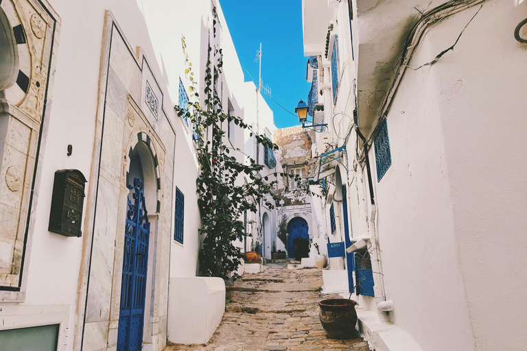 Visit Tunis: Sidi Bou Said, Carthage & Medina Tunis : Sidi Bou Said & Carthage & Medina guided tour