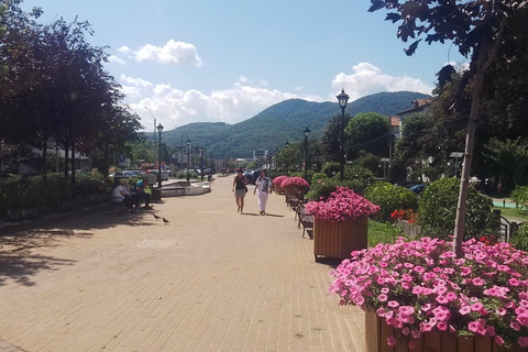 Piatra Neamț: Guided tours of the Moldavian Pearl of Romania