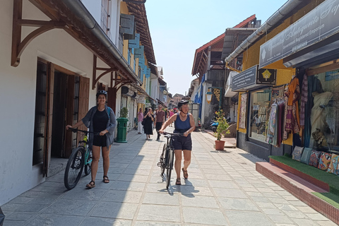 Tour in bici di 11 giorni alla scoperta delle spezie del Kerala