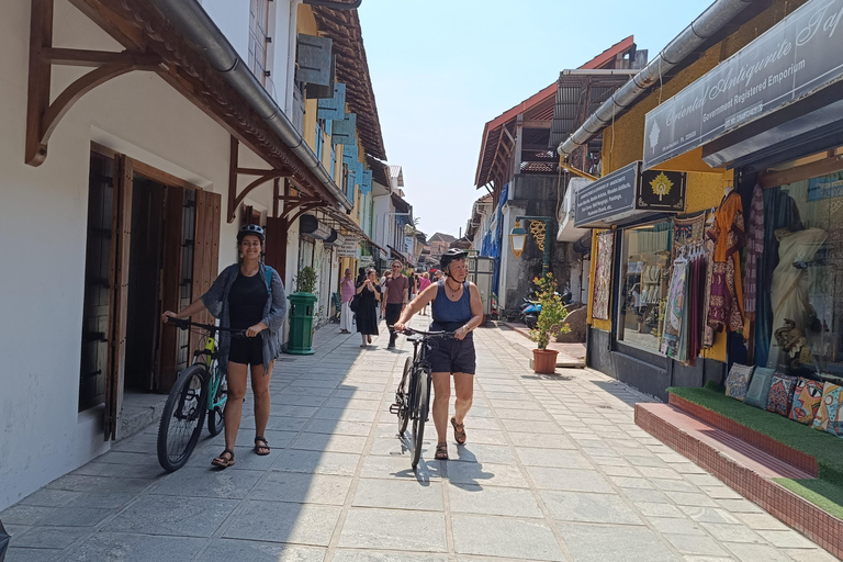 Tour in bici di 11 giorni alla scoperta delle spezie del Kerala