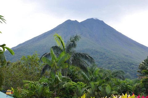 San José: Excursión de un día al Volcán Arenal y a las Termas de Baldi