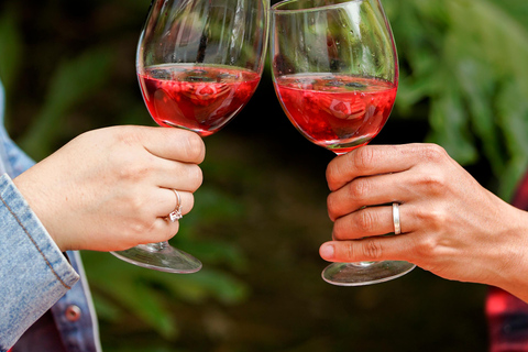 San José Photoshoot Experience