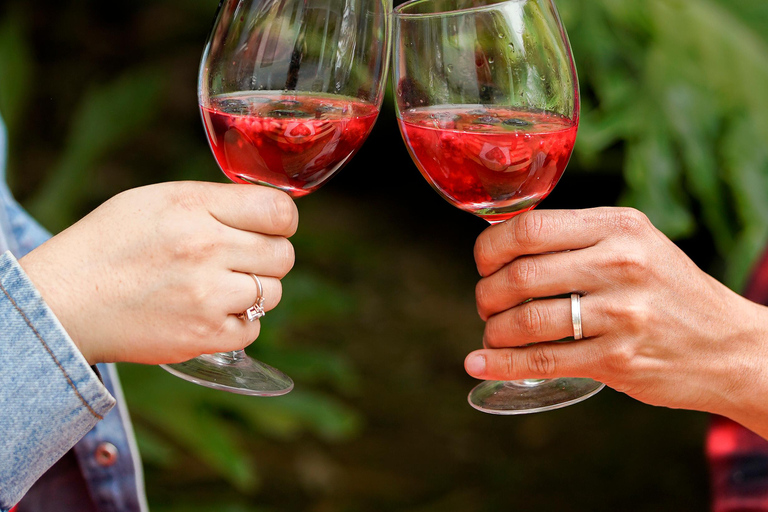 San José Photoshoot Experience