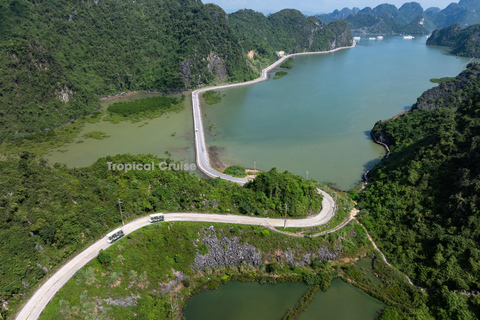 河内：下龙湾至兰哈湾 - 猫巴岛一日游从河内出发，乘坐豪华巴士（22 座）