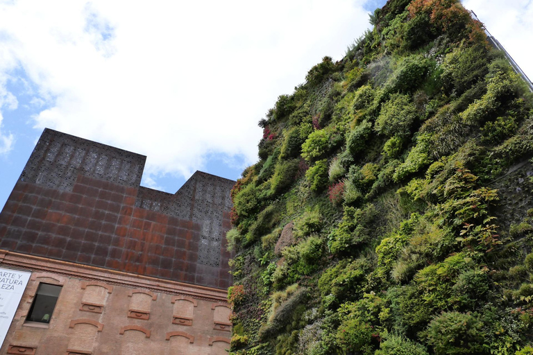 CaixaForum Madrid Private Guided Tour with Tickets 3.5-hour: CaixaForum, Exhibition Hall Tour & Transport