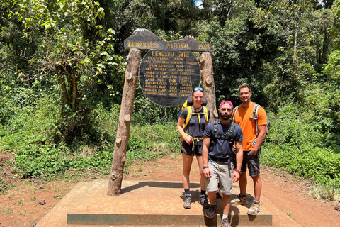 Mount Kilimanjaro en dags vandring till baslägret för liten grupp