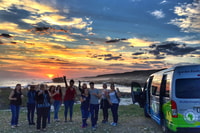 Cape Town, Garden Route et Addo Elephant Park Safari de 6 jours - Hizvo