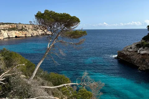 Cala Figuera : Randonnée côtière facile